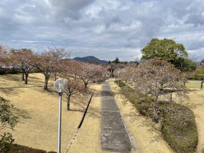 みずいろ公園