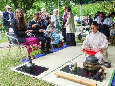 野だてをするロンドンしゃくなげ会の方