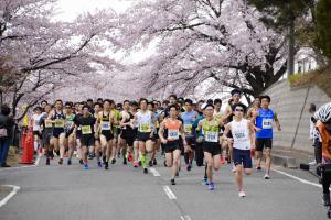 桜の下