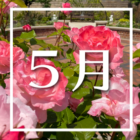 5月