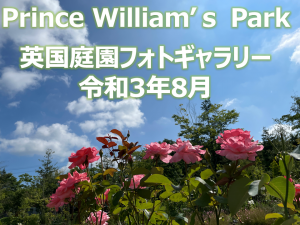 英国庭園フォトギャラリー令和3年8月