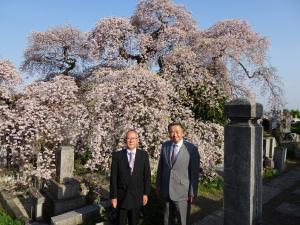 日輪寺の枝垂れ桜を楽しむ高松市長と満山さん