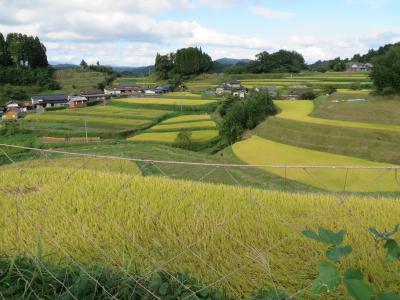 山都訪問