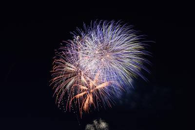 夜ざくら花火の写真